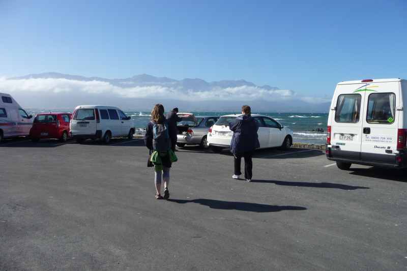 Nieuw-Zeeland 2011 - 1183